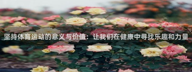 MK体育官方正版app官方：坚持体育运动的意义与价值