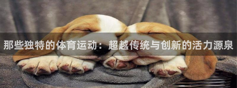 MK体育官网下载平台是正规平台吗：那些独特的体育运动