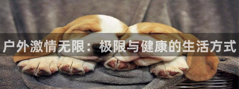 MK体育官方正版app官方：户外激情无限：极限与健康