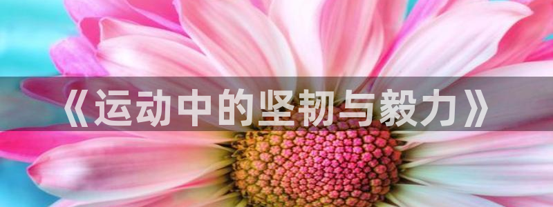 MK体育官网下载是干嘛的公司：《运动中的坚韧与毅力》