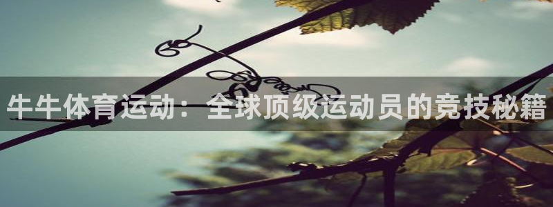 MK体育官网下载平台注册要钱吗：牛牛体育运动：全球顶级运动员