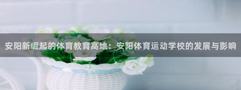 MK体育官网下载平台是正规平台吗：安阳新崛起的体育教育高地：
