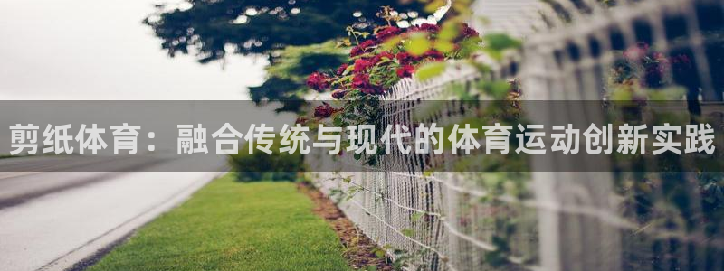 MK体育官方正版app娱乐代理怎么样：剪纸体育：融合传统与现
