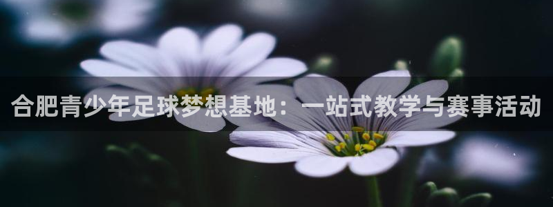 MK体育官方正版app集团官网网址