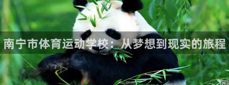 MK体育官网下载联系电话