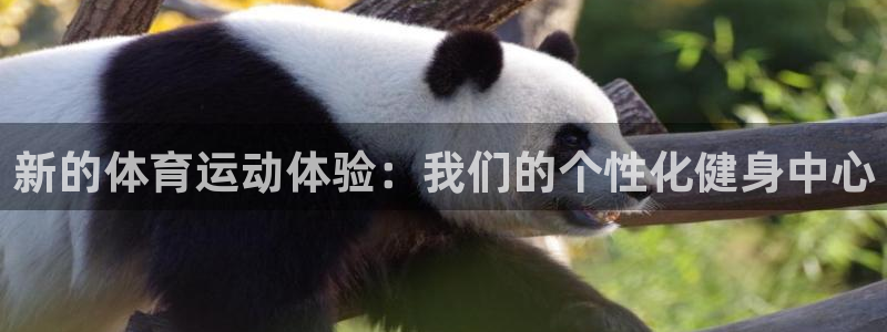 海南MK体育官网下载