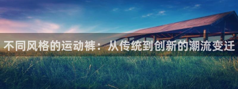 MK体育官网下载娱乐：不同风格的运动裤：从传统到创新的潮流变