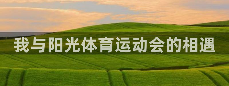 MK体育官网下载是干嘛的公司：我与阳光体育运动会的相遇