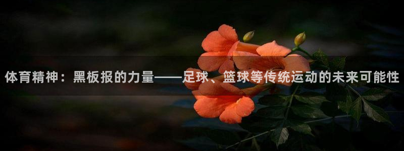 MK体育官方正版app集团官网首页：体育精神：黑板报的力量—