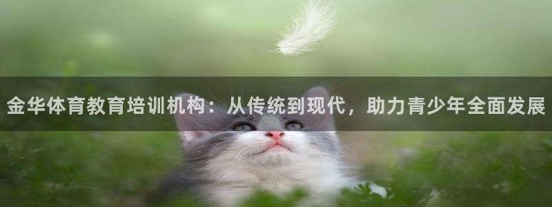MK体育官网下载平台是正规平台吗安全吗：金华体育教育培训机构