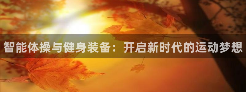 MK体育官网下载联系电话：智能体操与健身装备：开启新时代的运