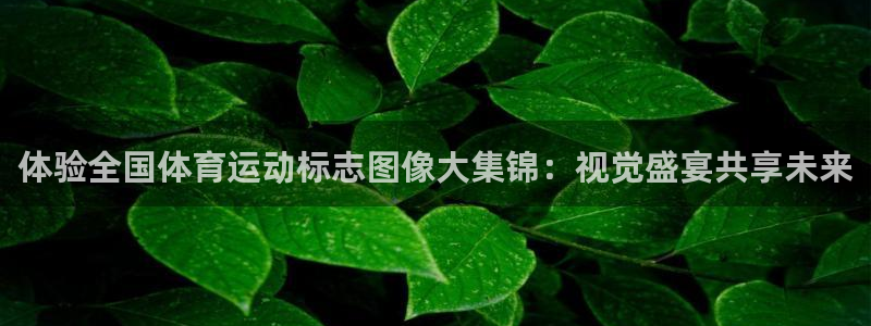 MK体育官网下载招商电话地址是多少：体验全国体育运动