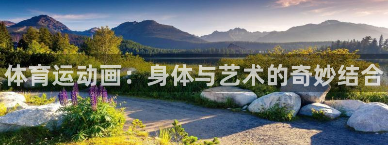 MK体育官方正版app集团官网首页网址：体育运动画：身体与艺