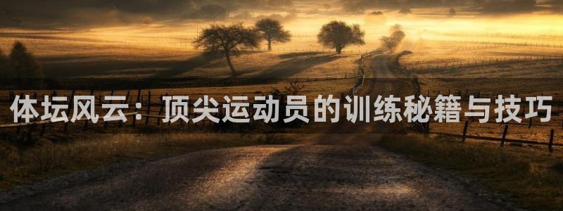 MK体育官方正版app集团：体坛风云：顶尖运动员的训练秘籍与