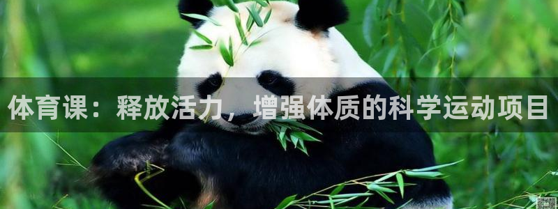 MK体育官方正版app集团官网首页：体育课：释放活力，增强体