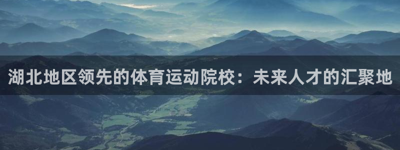 MK体育官方正版app官方：湖北地区领先的体育运动院校：未来
