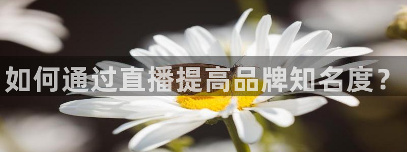 178免费直播体育