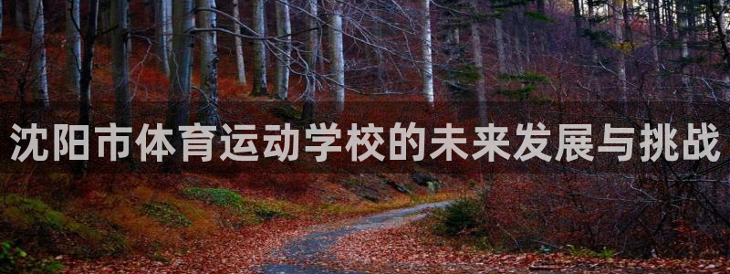 MK体育官网下载软件：沈阳市体育运动学校的未来发展与挑战
