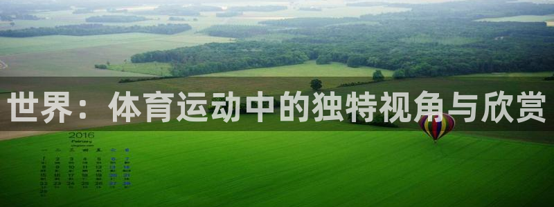 德国MK体育官方正版app集团：世界：体育运动中的独特视角与