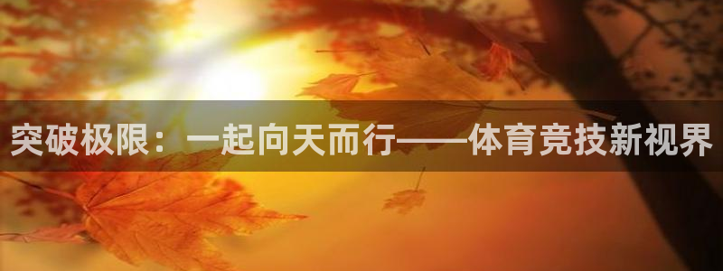 MK体育官网下载联系电话：突破极限：一起向天而行——体育竞技