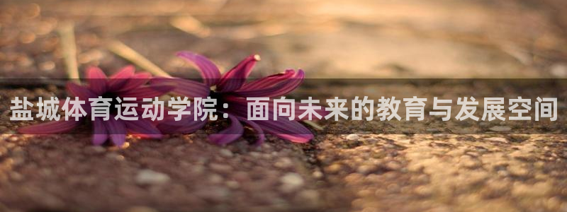 海南MK体育官网下载发展怎么样：盐城体育运动学院：面向未来的