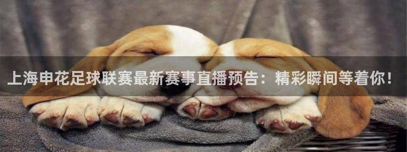 nba178在线直播：上海申花足球联赛最新赛事直播预告：精彩瞬间等着你！