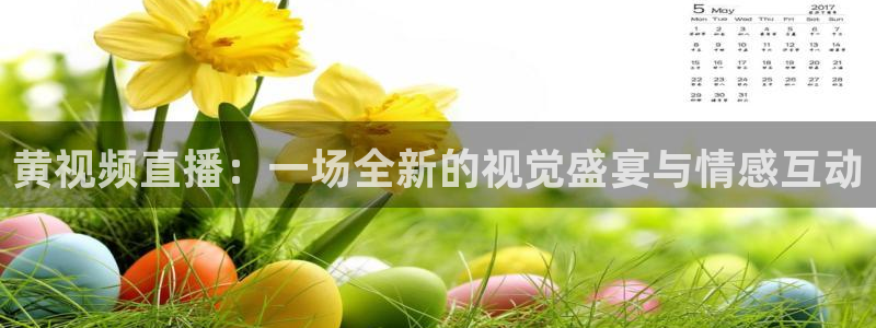 足球178直播在线直播观看免费：黄视频直播：一场全新的视觉盛宴与情感互动