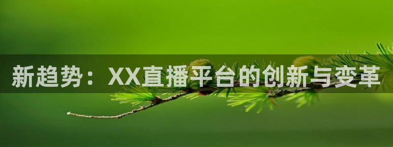178足球直播高清在线直播：新趋势：XX直播平台的创新与变革
